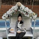 체리몽애견풀빌라 이미지