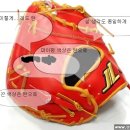 대우미트