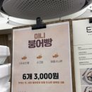 젤라떼리아단;사이 이미지