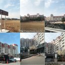 최고봉당구장 | 아쿠아월드 2탄 대명리조트 후기