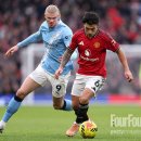 안 카카오 검색결과