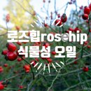 장흥군노인복지관 | 위한 힐링 클래스, 스트레스 완화, 의정부 노인종합복지관/ 힐링, 소진예방 출강 전문 비다아로마