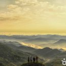 (주)동양해외관광 이미지