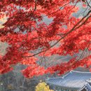 마곡사3 이미지