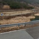 대매농장 이미지