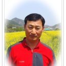 방화1동249 이미지