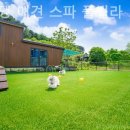 그하루 애견펜션 이미지