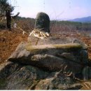 옥대1리 이미지