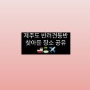 청춘사분연구소