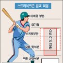 스트라이크존 이미지