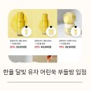 아모레 방판 에딧샵 비즈센터 한율 달빛유자 어린쑥 부들밤 입점