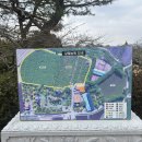 소나무카페(소나무관광농원) | 보성 가볼 만한 곳 갈멜정원, 전남 제6호 민간 정원 산책 후기