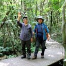 대정읍 영어교육도시내 곶자왈 이미지