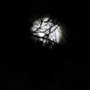 달빛태양광 이미지