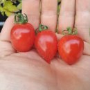 세경농장 이미지