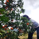 수봉농장 이미지