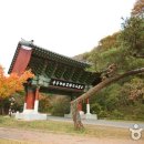 단풍스테이 이미지