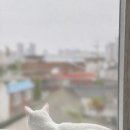 일상