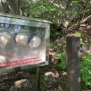 마고실민박 이미지