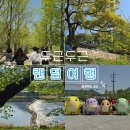 괴산G마트 | 두근두근 랜덤여행, 충북 괴산 1박 2일 (지도 맞추기, 괴산 가볼만한 곳, 괴산여행지 추천)