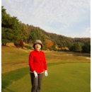 강남300 컨트리클럽 이미지