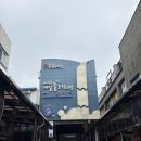 순이감귤 | 제주 서귀포 올레 시장 유명한 먹거리 추천 과일모찌,흑돼지고사리만두, 마농치킨,가성비 모듬회
