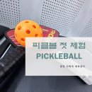 반송동129 | 동탄 다목적체육센터에서 피클볼 첫 체험!