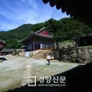 다산숲 이미지