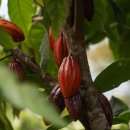 엘지전자밀양서비스센터 이미지