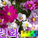 우리가곡.1그리운 금강산.클라리넷 커버 연주. 이미지