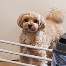 버뮤다짐PT&헬스 안산중앙동점 이미지