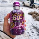 헬시트레이드 상상시장점 | [일본 삿포로] 크리스마스 겨울왕국, 일본 삿포로 여행