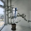 베델미용실