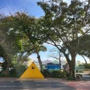 광령초등학교 이미지