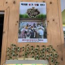 출렁다리웰빙건강쌈밥 이미지