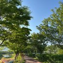 동천저류지화장실 이미지