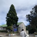 이스트레이크 | 호주 골프여행 시드니 퍼블릭 골프장 2인 플레이 후기 (이스트레이크 골프클럽)