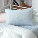 까사모니크 이미지