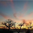 은행나무민박 이미지