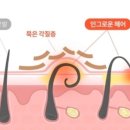 란헤어 - 포항시 남구 | 란헤어