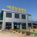 어강동물병원 이미지