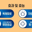 세화온누리약국 이미지