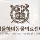 하이동물병원 이미지