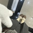 송학목장 이미지