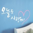 디자인 단비