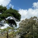 장성-16 | [공지] 전남 장성 백양사 가을 단풍 추천 여행지 11월 1일 방문 후기