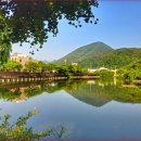 영산 연지못 이미지