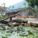 금강산장 이미지