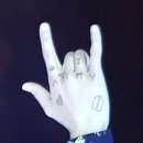 말티와 꼬꼬 이미지