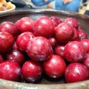 삼문동둔치길(삼문송림) 이미지